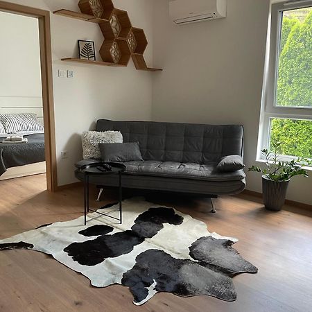 Hexagon Apartman Szeged Eksteriør bilde